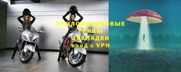 мдпв Покровск