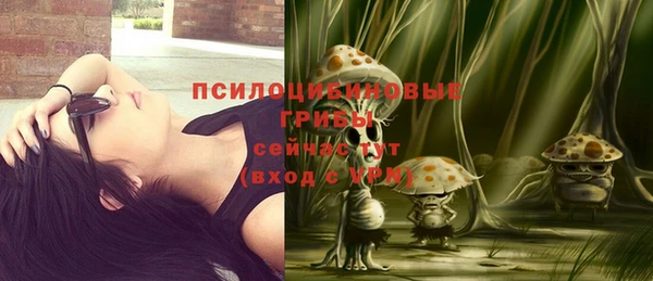 мдпв Покровск