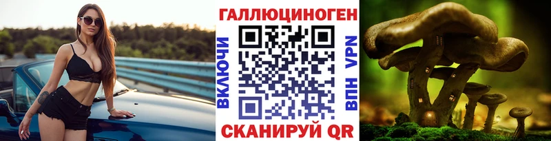 Галлюциногенные грибы Psilocybe  наркота  Сельцо 